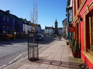 Complaints over tree watering in Mach town centre