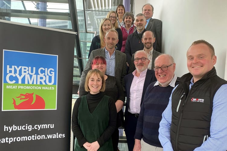 HCC Working Group