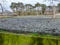 Teifi residents demand apology and action for pollution "crisis"