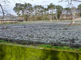 Calls to clean up Wales’ waterways