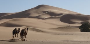 Hidden ‘star’ sand dune mystery solved by ancient find