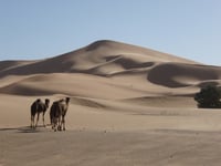 Hidden ‘star’ sand dune mystery solved by ancient find