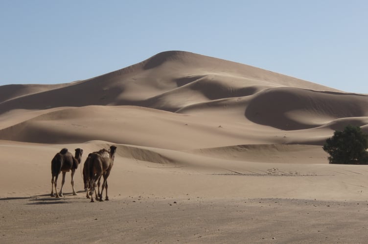 Sahara