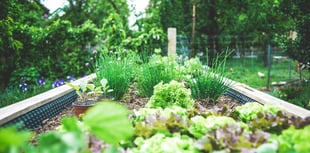 Green spaces information day to be held in Penparcau