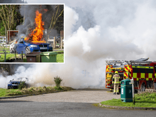 Fire brigade called to put out car blaze