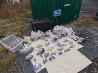 Twenty-seven snakes and four chickens abandoned in west Wales