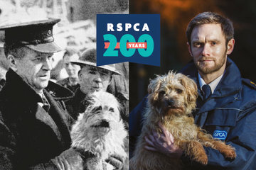 The RSPCA has changed laws and industries since its humble beginnings in a coffee shop 200 years ago