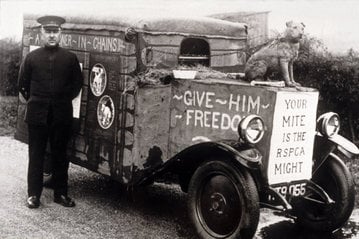The RSPCA is to celebrate it's 200th anniversary this year