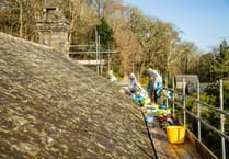 Rare bees removed from roof of National Trust house