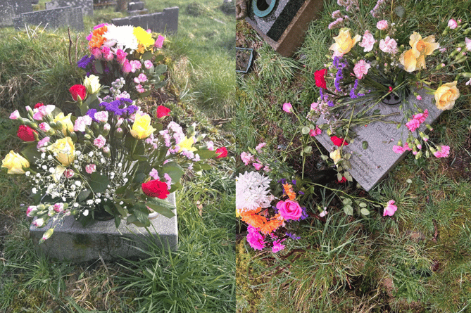 Kerry's flowers before (left) and after the herd had paid a visit (right)