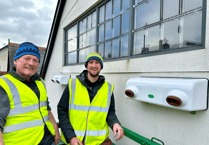 Swift success: Joy as first at-risk birds take up nests at Co-op store