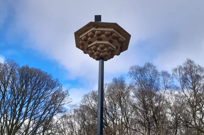 The new nesting tower at the Llandrindod Wells Lake Local Nature Reserve