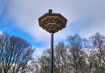 Brand new bird hotel installed as residences for endangered creatures