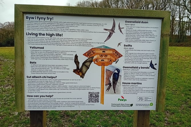 The site comes with an information board detailing the different species which may use the tower