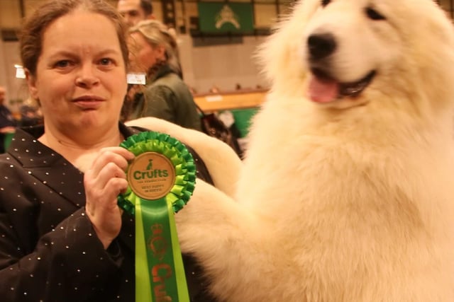 Puppy is top dog after picking up prizes at Crufts