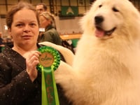 Puppy is top dog after picking up prizes at Crufts