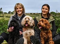 Llandysul cockapoo lady wins 'Influential Women in Business' award
