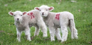 Roadshow to help farmers deal with extreme weather