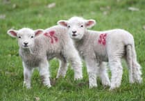 Roadshow to help farmers deal with extreme weather