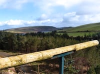 Clywedog cameras go live for expected osprey return