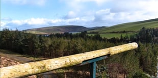 Clywedog cameras go live for expected osprey return