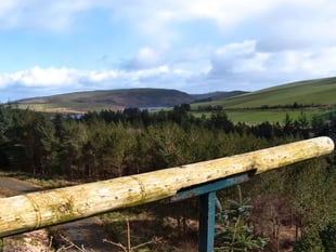 Clywedog cameras go live for expected osprey return