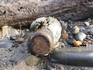 Bomb disposal team called to Ynyslas