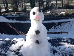 Snow stops lie-in!
