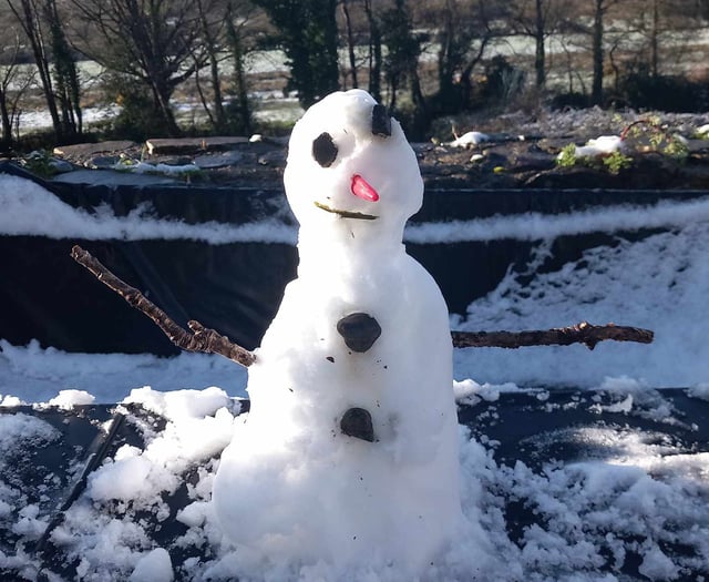 Snow stops lie-in!
