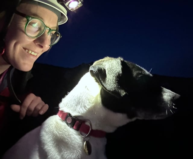 Walker and dog rescued from Cnicht