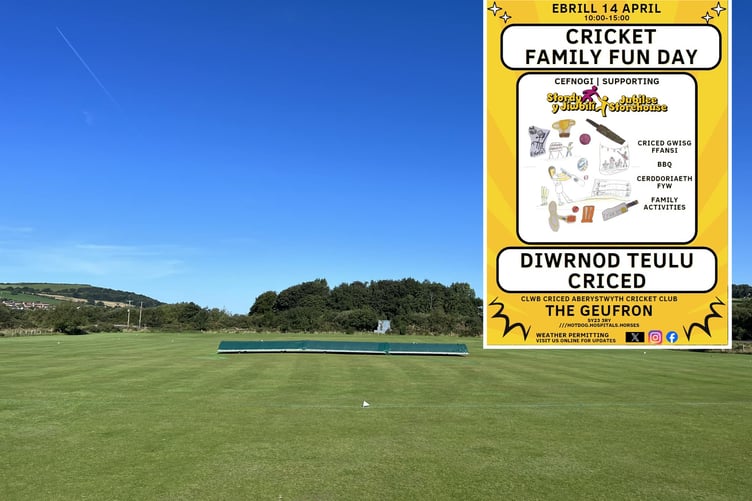 Cricket fun day