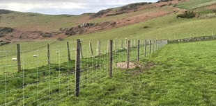 Farmers encouraged to take on new training courses