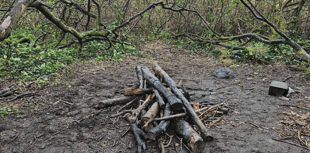 Police patrols and CCTV for nature reserve in bid to stop campfires
