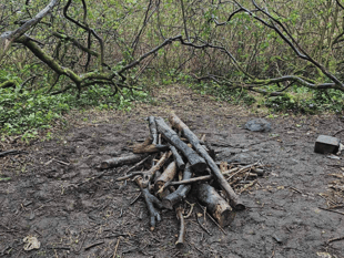 Police patrols and CCTV for nature reserve in bid to stop campfires
