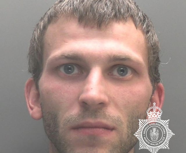 Blaenau man sentenced to 12 years for sexual offences