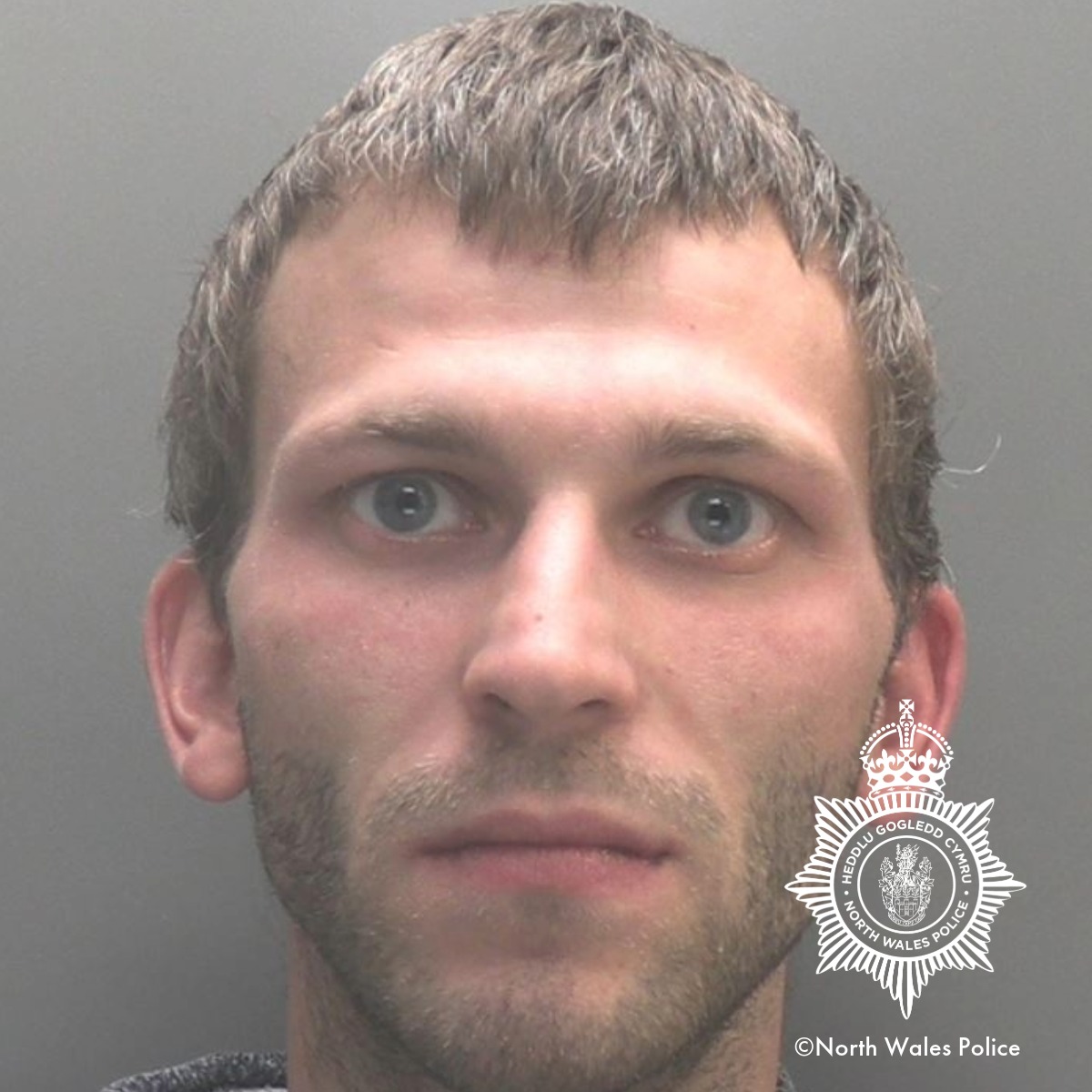 Blaenau man sentenced to 12 years for sexual offences