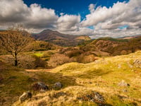 National Trust Cymru seeking tenant for ‘dream’ farm 