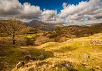 National Trust Cymru seeking tenant for ‘dream’ farm 