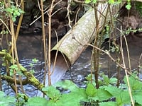 Plans to increase water inspections to clamp down on sewage dumping 