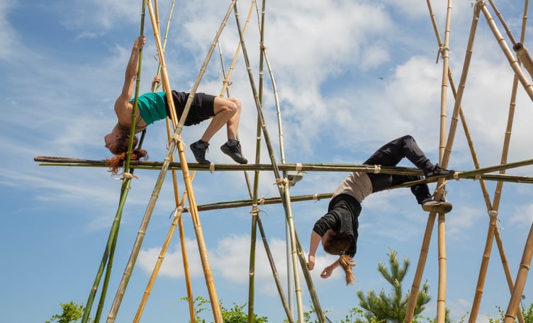 BAMBOO. Photo: Jon Street