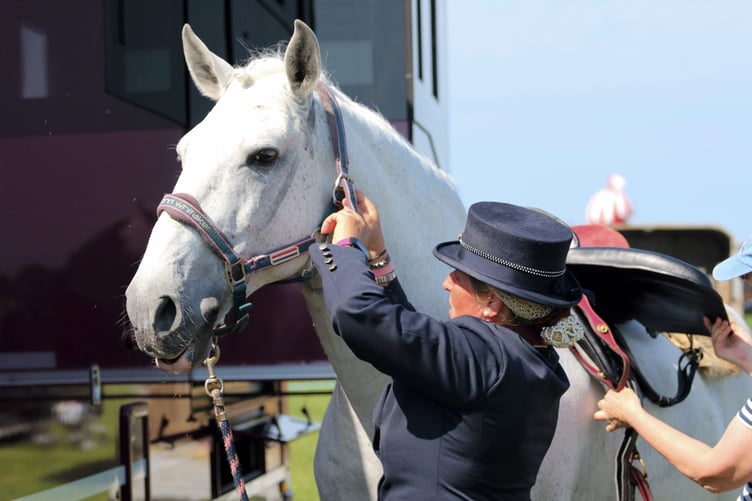 Show jumping returns following its introduction last year