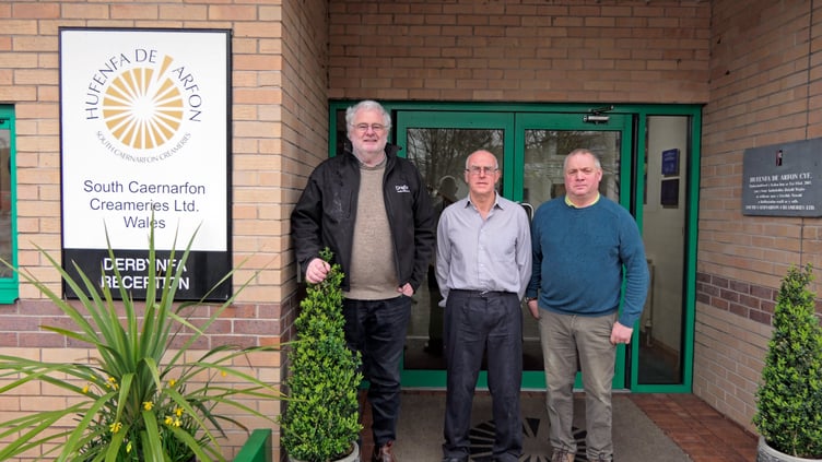 Peredur, Gwyn and Morgan. Photo: South Caernarfon Creameries
