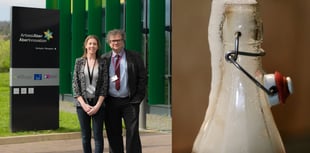 Aber researchers to test health benefits of kombucha tea