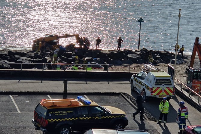 Emergency services and local workers came together to rescue the child. Photo: Iain Paterson