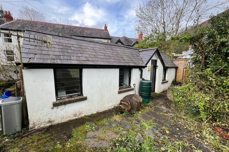 ceredigion auction