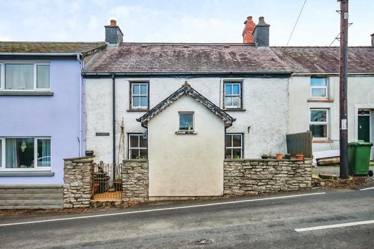 ceredigion auction