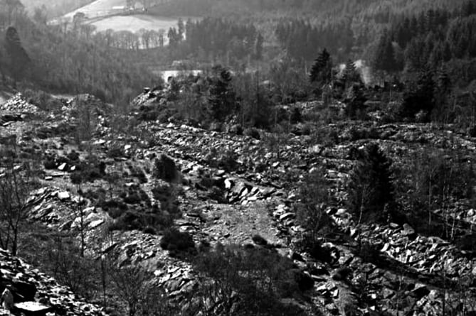 A picture of the Llwyngwern Quarry, abandoned for decades before volunteers decided to take over the site and build the Centre for Alternative Technology