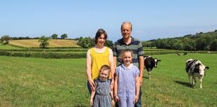 Could white clover help Ceredigion farm become more productive?