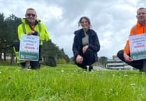 Aberystwyth University to take part in 'No mow May'