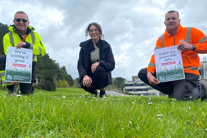 Aberystwyth University will be taking part in the Plantlife’s ‘No Mow May’ campaign 